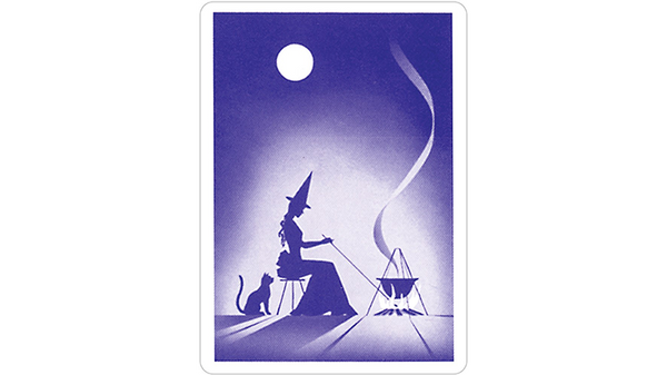Gypsy Witch Fortune Telling Playing Cards - Got Magic?