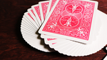 Bicycle Fuchsia Playing Cards by US Playing Card Co - Got Magic?