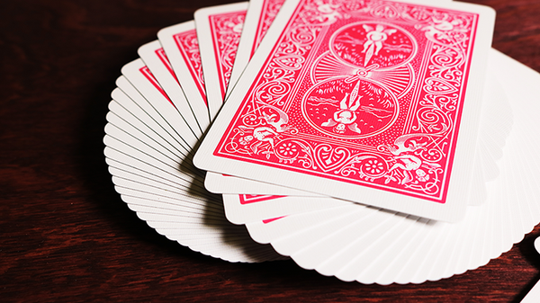 Bicycle Fuchsia Playing Cards by US Playing Card Co - Got Magic?