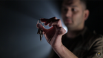 Hidden Hand (DVD and Gimmick) by Sean Fields - DVD - Got Magic?