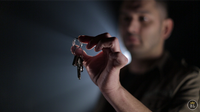 Hidden Hand (DVD and Gimmick) by Sean Fields - DVD - Got Magic?