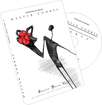 Master Course Sponge Balls Vol. 4 by Daryl - DVD - Got Magic?
