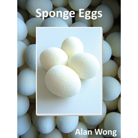 Sponge Eggs (4pk.) by Alan Wong - Trick - Got Magic?