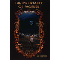 The Importance of Wonder by Ben Robinson - Book - Got Magic?