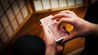 Selenium shift by Chris Severson & Shin Lim Presents - DVD - Got Magic?