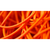 Joe Rindfleisch's Rainbow Rubber Bands (Daniel Garcia - Orange Pack  ) by Joe Rindfleisch - Trick - Got Magic?