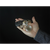The Vault Clear (DVD and Gimmick) created by David Penn - DVD - Got Magic?