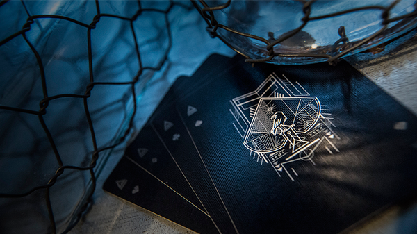 Darkfall Playing Cards - Got Magic?