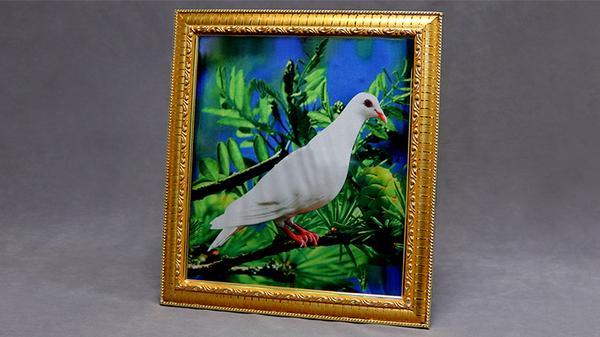 Dove Frame (Photo) by Mr. Magic - Trick - Got Magic?