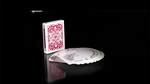 Chameleon Playing Cards (Red) by Expert Playing Cards - Got Magic?
