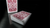 Chameleon Playing Cards (Red) by Expert Playing Cards - Got Magic?
