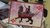 Ultimate Deck (Stranger and Stranger Edition) by Dan and Dave - Got Magic?