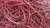 Joe Rindfleisch's Legend Bands: Chris Kenner Burgundy Bands - Trick - Got Magic?