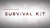 SansMinds Worker's Series: Survival Kit - Got Magic?