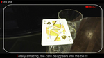 BLUFF by Mickael Chatelain - Trick - Got Magic?