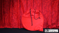 12 inch Linking Rings SS (8 Rings) by Mr. Magic - Trick - Got Magic?