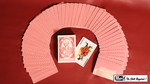 Electric Deck (52 Cards Bridge) by Mr. Magic - Trick - Got Magic?