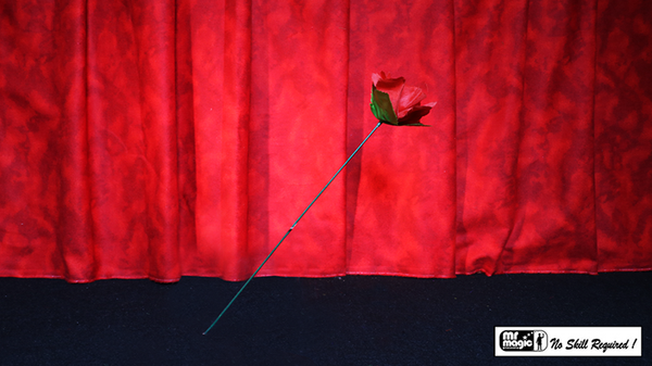 Torch to Rose by Mr. Magic - Trick - Got Magic?