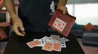 Card Through Mesh Bag by Higpon - Trick - Got Magic?