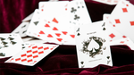 Yu Hojin Manipulation Cards PRO 2016 (White) by Yu Hojin - Trick - Got Magic?