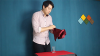 Pearl's Coin by Mr. Pearl - DVD - Got Magic?