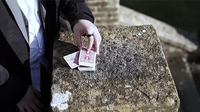 Parallels by Think - DVD - Got Magic?