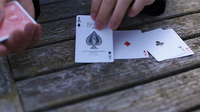 Parallels by Think - DVD - Got Magic?