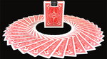 Bicycle Paris Back Limited Edition Red Playing Cards by JOKARTE - Got Magic?