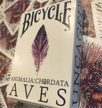 Bicycle AVES Uncaged Playing Cards by LUX Playing Cards - Got Magic?