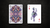 Bicycle AVES Uncaged Playing Cards by LUX Playing Cards - Got Magic?