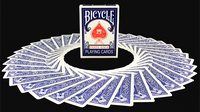 Bicycle Paris Back Limited Edition Blue Playing Cards by JOKARTE - Got Magic?