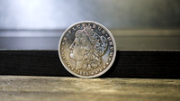 Morgan Silver Dollar Single Coin (Ungimmicked) - Got Magic?