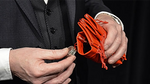 Detection Bag (Gimmicks and Online Instructions) by Leo Smetsers - Trick - Got Magic?