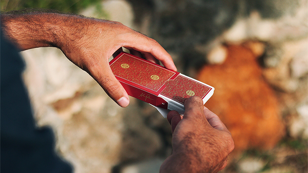 Visa Red Playing Cards by Patrick Kun and Alex Pandrea - Got Magic?