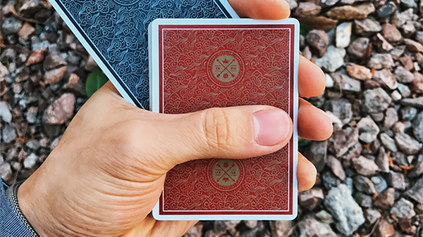 Visa Red Playing Cards by Patrick Kun and Alex Pandrea - Got Magic?