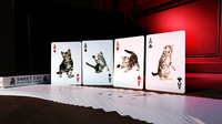 Bicycle Sweet Cat Playing Cards - Got Magic?
