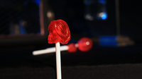Lolli Hero Ironman and Wonder Woman (Gimmicks and Online Instructions) by Steve Rowe - Trick - Got Magic?