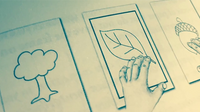 The Green Neck System by Gabriel Werlen & Marchand de trucs & Mindbox - Book - Got Magic?