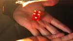 Gecko Pro System (Gimmicks and Online Instructions) by Jim Rosenbaum - Trick - Got Magic?