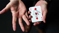 Gecko Pro System (Gimmicks and Online Instructions) by Jim Rosenbaum - Trick - Got Magic?