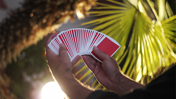 NOC Original Deck (Blue) Printed at USPCC by The Blue Crown - Got Magic?