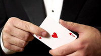 White Tally-Ho (Circle Back) Playing Cards - Got Magic?