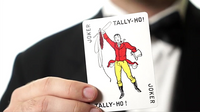 White Tally-Ho (Fan Back) Playing Cards - Got Magic?