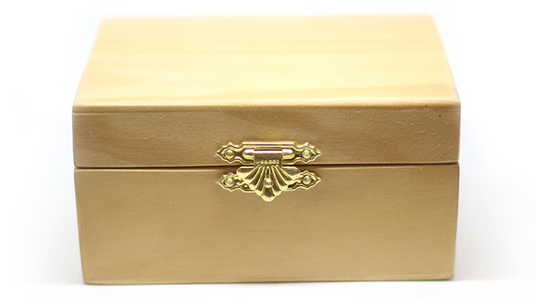 Haunted Box (Standard) by João Miranda - Trick - Got Magic?