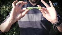 Meltdown by Jimmy Strange (Gimmicks and Online Instructions) - Trick - Got Magic?