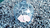 Paul Harris Presents Haunted 2.0 (Gimmick and Online Instructions) by Mark Traversoni and Peter Eggink - Trick - Got Magic?