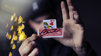 Tornimation (Gimmick and Online Instructions) by Menny Lindenfeld - Got Magic?