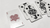 Mini Agenda Playing Cards (White) - Got Magic?