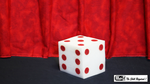 Ball to Dice (Red/White) by Mr. Magic - Trick - Got Magic?