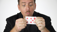 Cool C.A.T.S. by Matthew Wright and Toby Davies - Trick - Got Magic?
